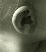 42-17597403 - Ear of a Baby Girl by Jefferson Hayman